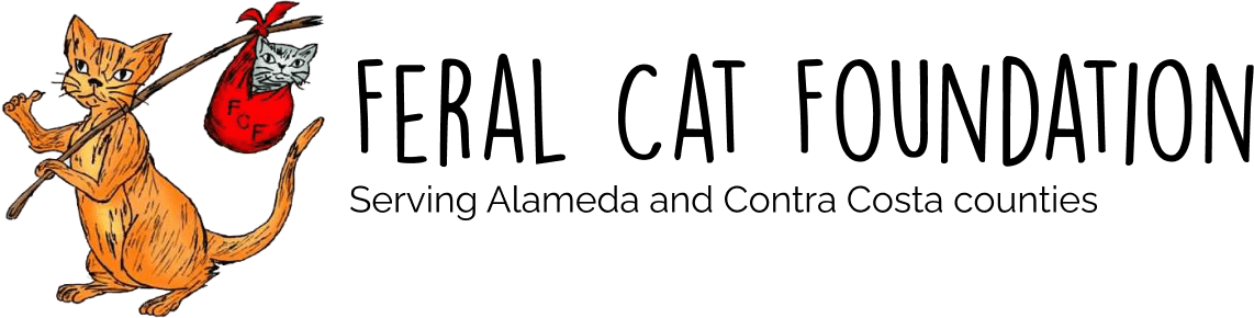 Feral Cat Foundation
