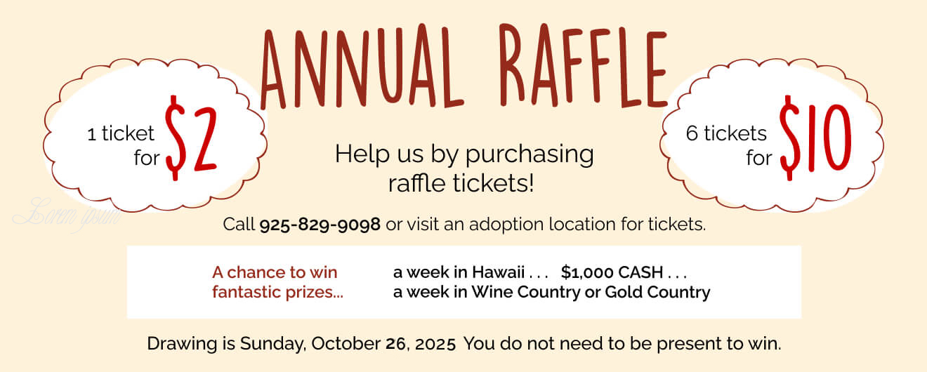 FCF-raffle-graphic-2025-for-web.jpg